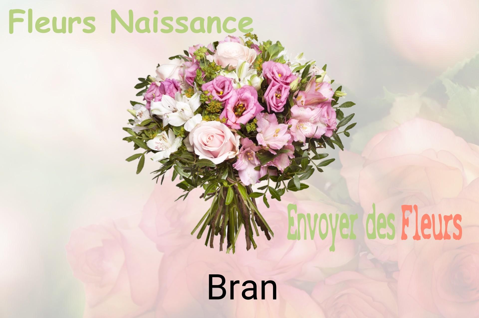Bouquet de fleurs de naissance livré à Bran