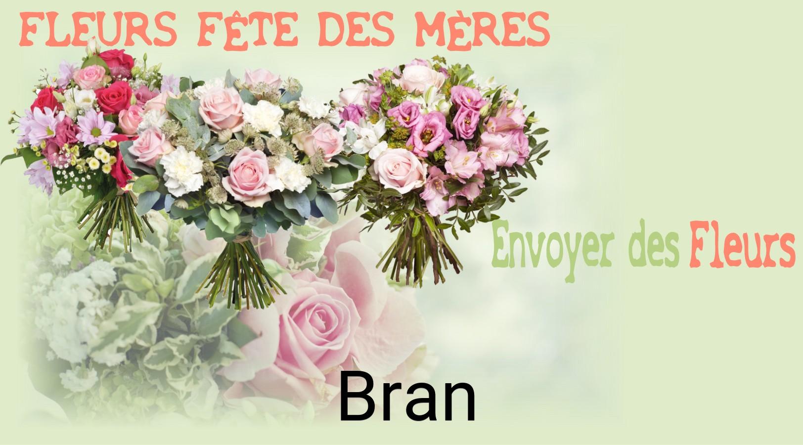 Bouquet de Fête des Mères livré à Bran